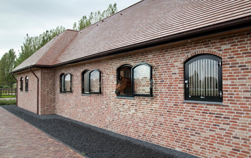 Spacious Horse Stable with Indoor Arena - Image 5