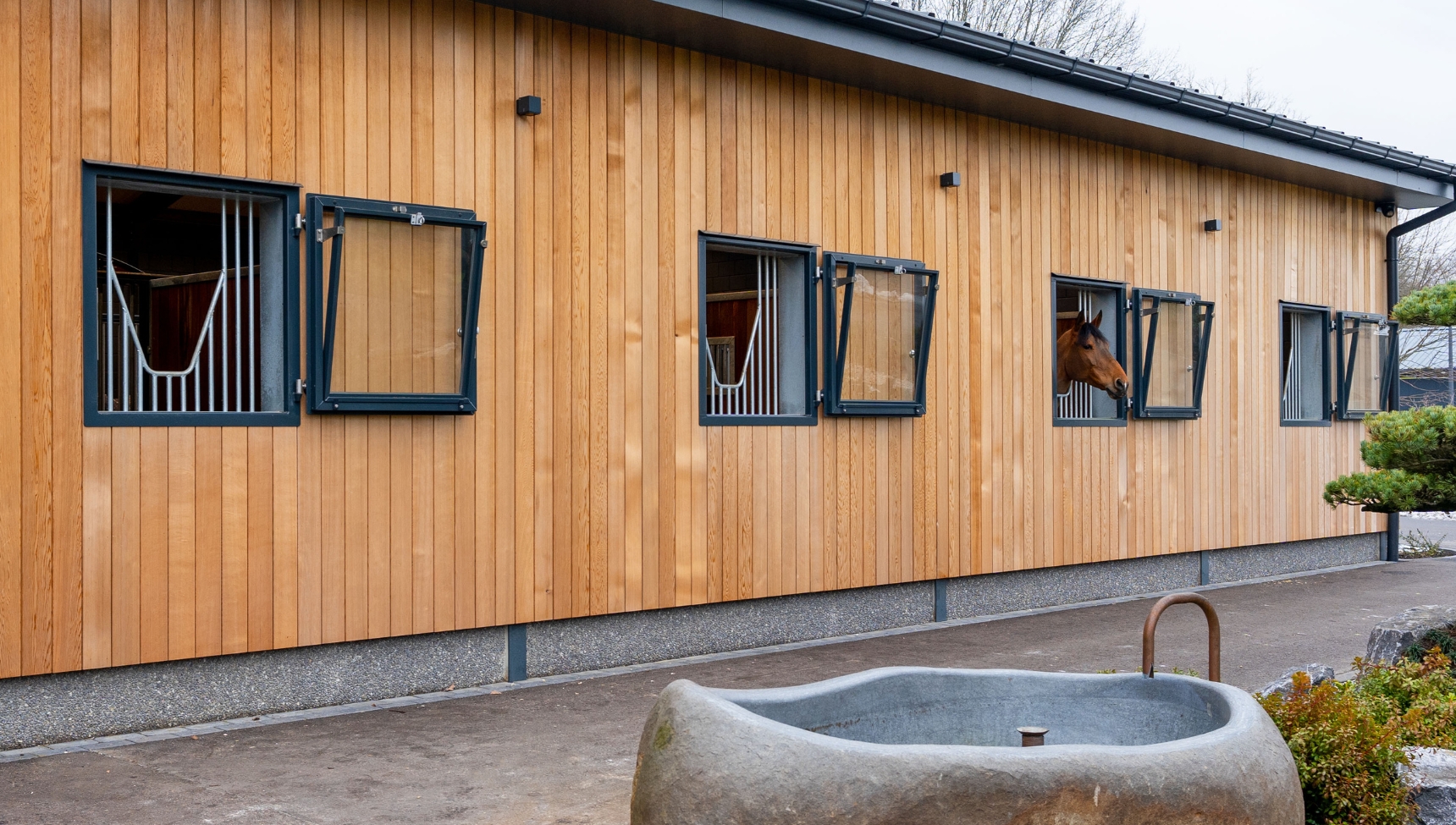 Spacious Horse Stable with Indoor Arena - Image 2