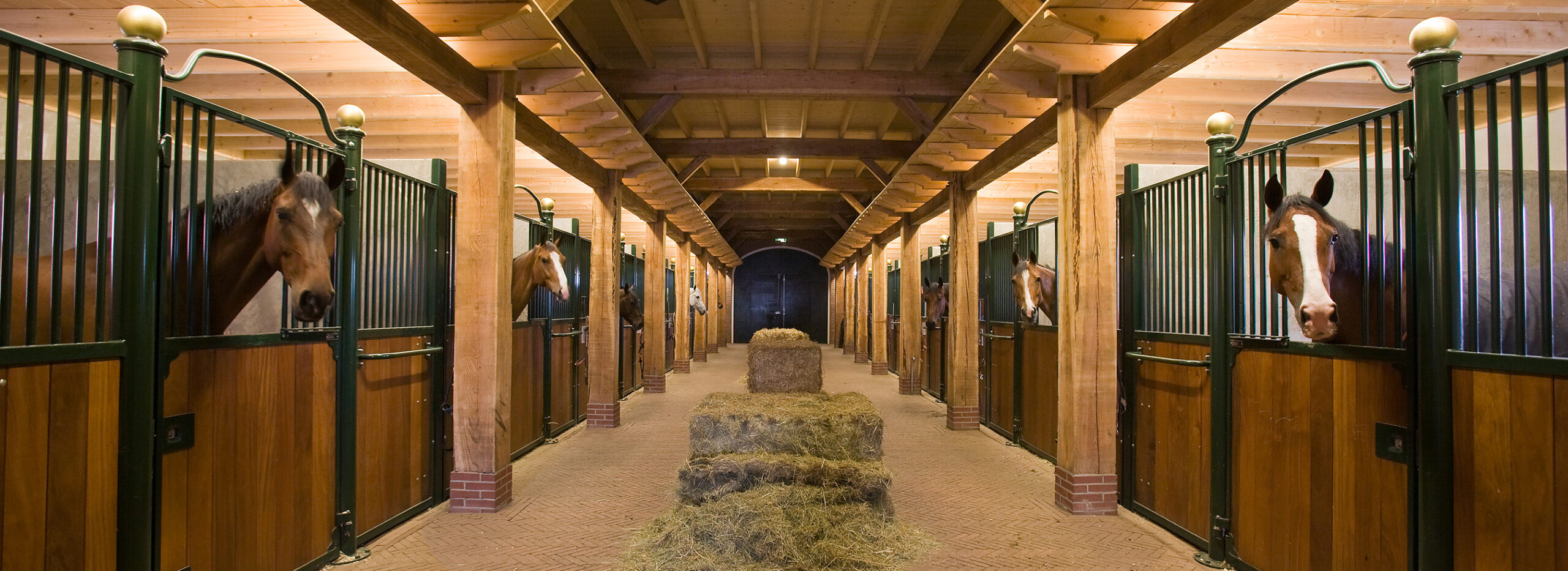 Spacious Horse Stable with Indoor Arena