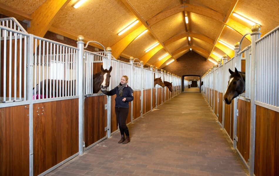 Spacious Horse Stable with Indoor Arena - Image 4
